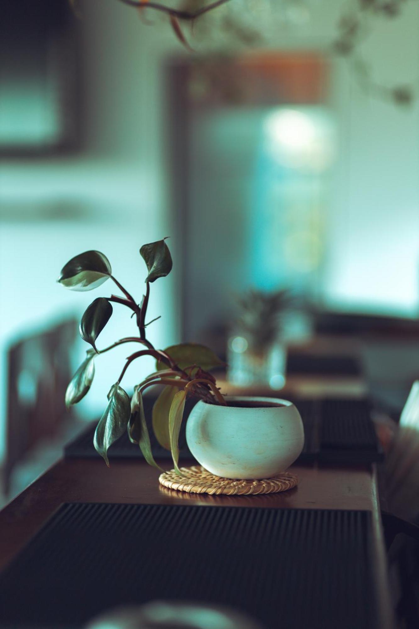Ella Soul Resort 외부 사진